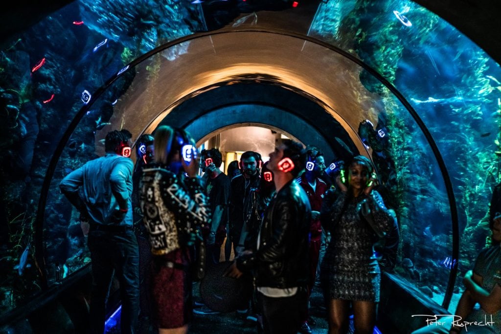 Yuri's Night Pro Shots of people under the aquarium